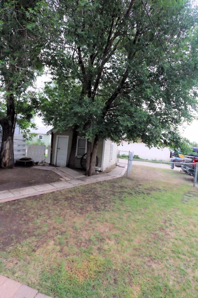 Back yard & shed<|><|>