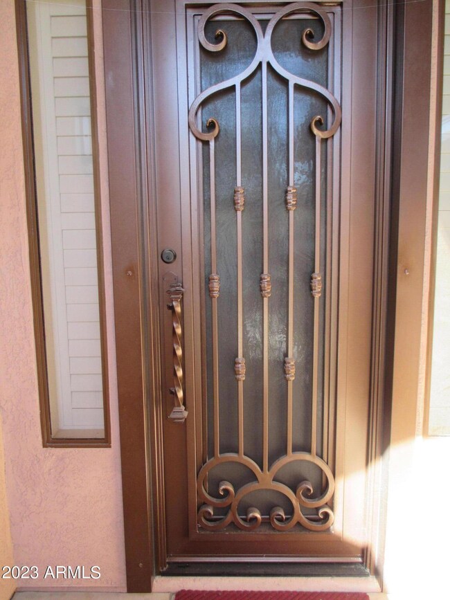 Deco Metal Security Door