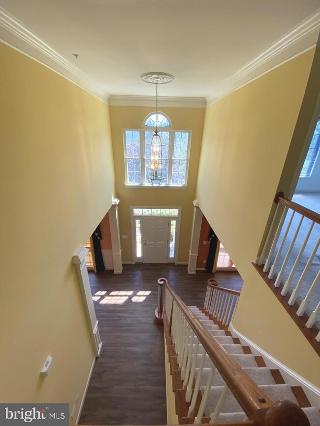 15311 Briarcliff Manor Way, Burtonsville, MD 20866 - photo 3