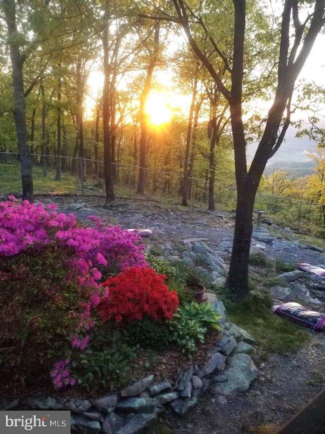 937 Sparrow Hill Rd, Paw Paw, WV 25434 - photo 2