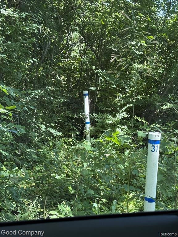 16295 Vining Rd, Romulus, MI 48174 - photo 5