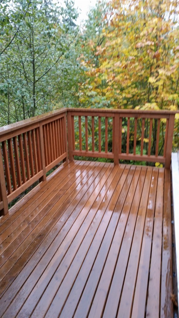 4207 W Mercer Way, Mercer Island, WA 98040 - photo 2