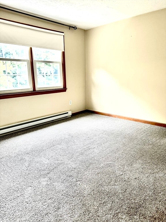 13 Cedar Square, Millis, MA 02054 - photo 7