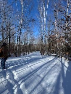 Lot#32 Beech Ridge Ln, West Paris, ME 04289 - photo 2