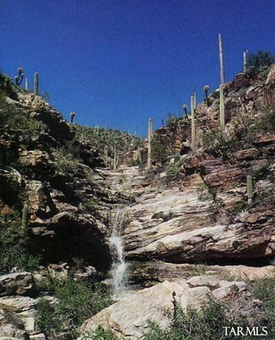 5383 N Falcon Crest Place, Tucson, AZ 85749 - photo 5