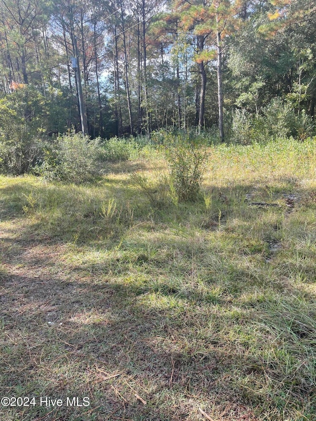 2234 SW Red Bud, Supply, NC 28462 - photo 3