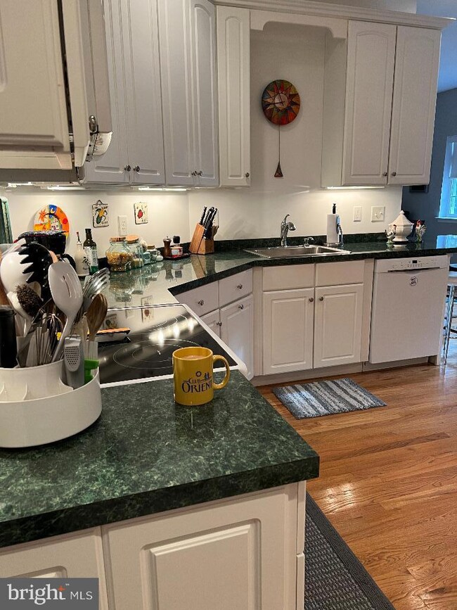 20335 Saddle Ct, Rehoboth Beach, DE 19971 - photo 3