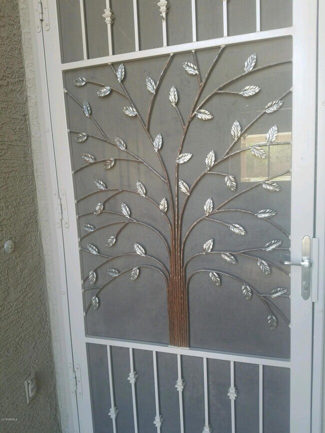 Entry Security Door
