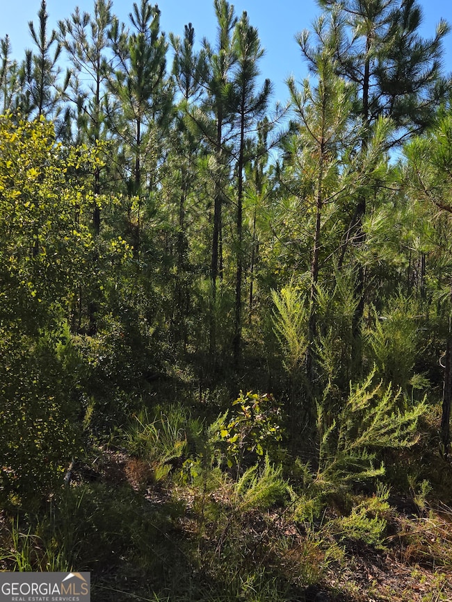 0 Alton Lawson Rd, Adrian, GA 31002 - photo 2