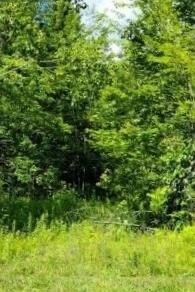 20200808045305327993000000-o