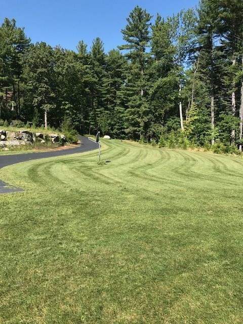 18 Veronica Dr, Bedford, NH 03110 - photo 5