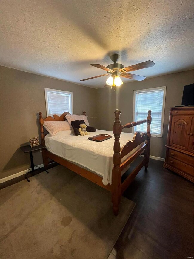 196 Mimosa Rd, Poplar Bluff, MO 63901 - photo 4