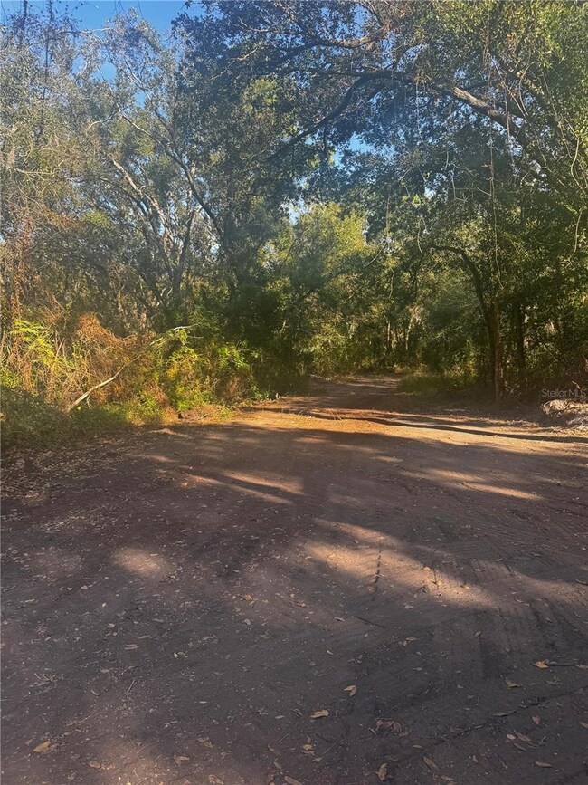 11-20 Anno St, Tampa, FL 33625 - photo 2