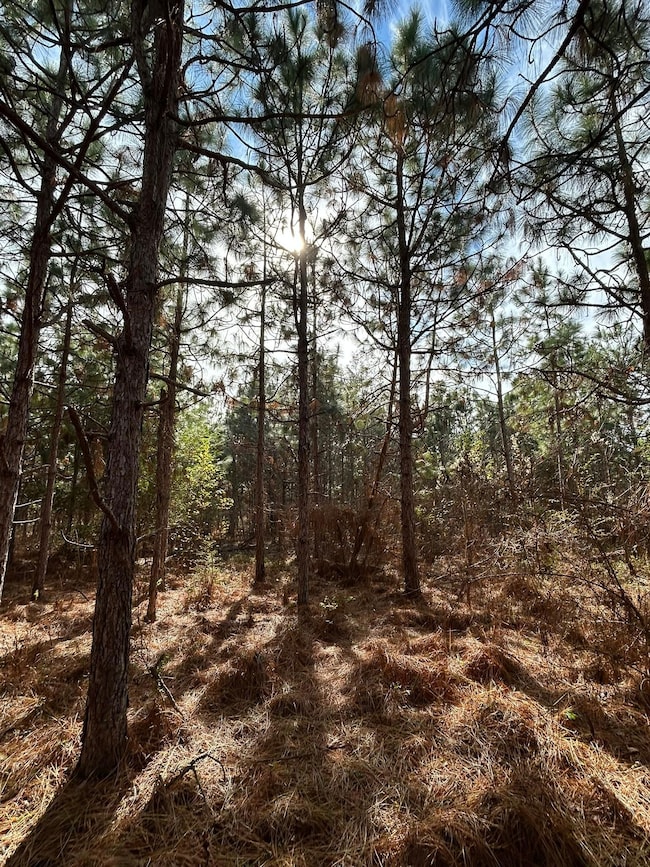 Shady Grove Rd, Luverne, AL 36049 - photo 4