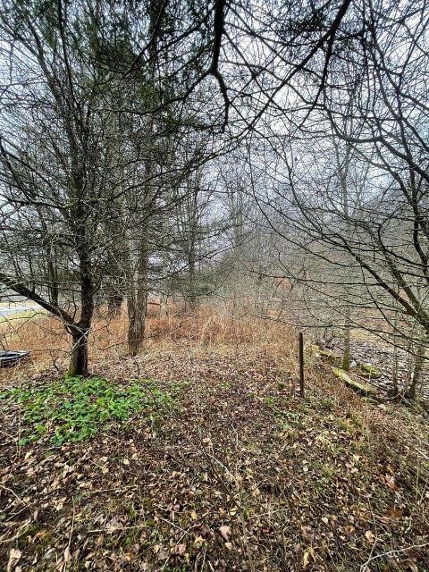 36828 Seneca Trail, Slaty Fork, WV 26291 - photo 2