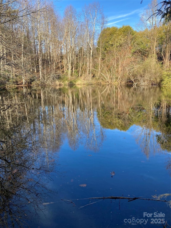 1638 Continental Divide Dr unit 2, Flat Rock, NC 28731 - photo 3