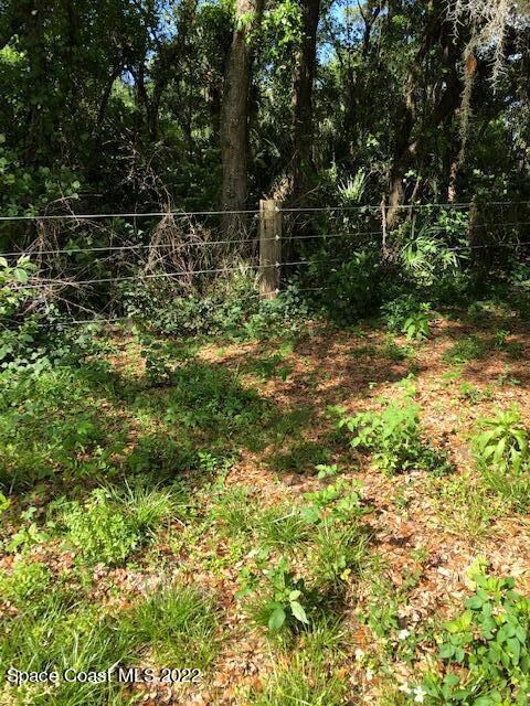Fence -view north