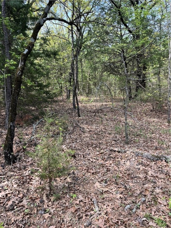 Tract 7 Station Rd, Bokoshe, OK 74930 - photo 2