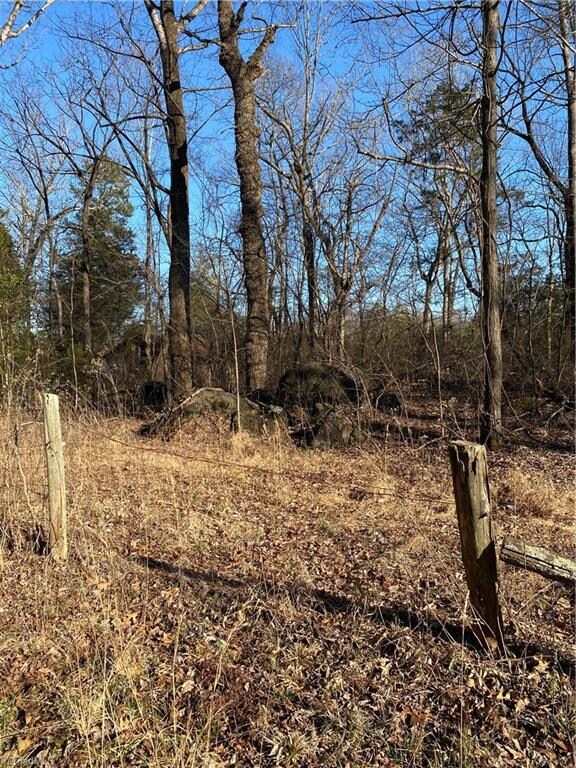 0 Southmont School Rd unit 1014118, Asheboro, NC 27205 - photo 4