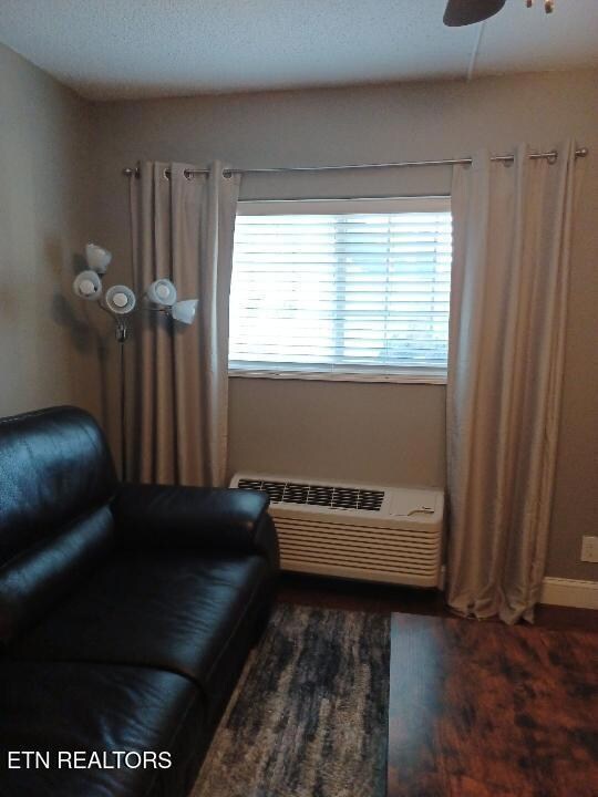 ET304 - Front Window