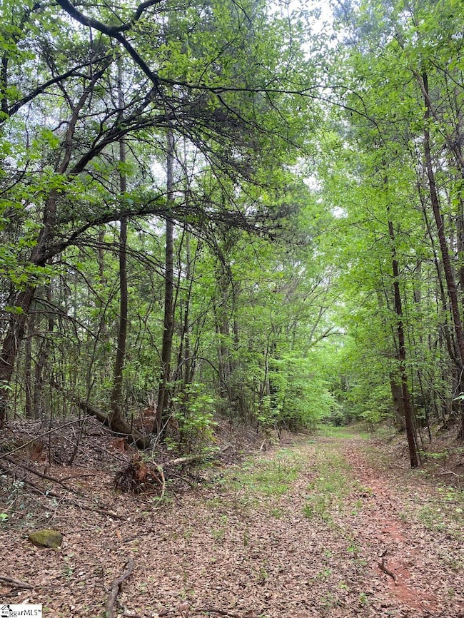 00 Wingo Rd, Wellford, SC 29385 - photo 3