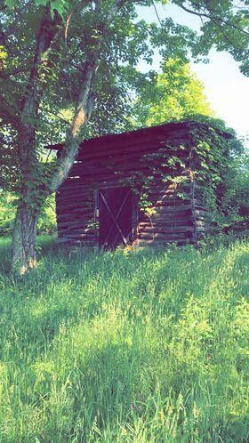 118763663_740508809839452_68216423888710