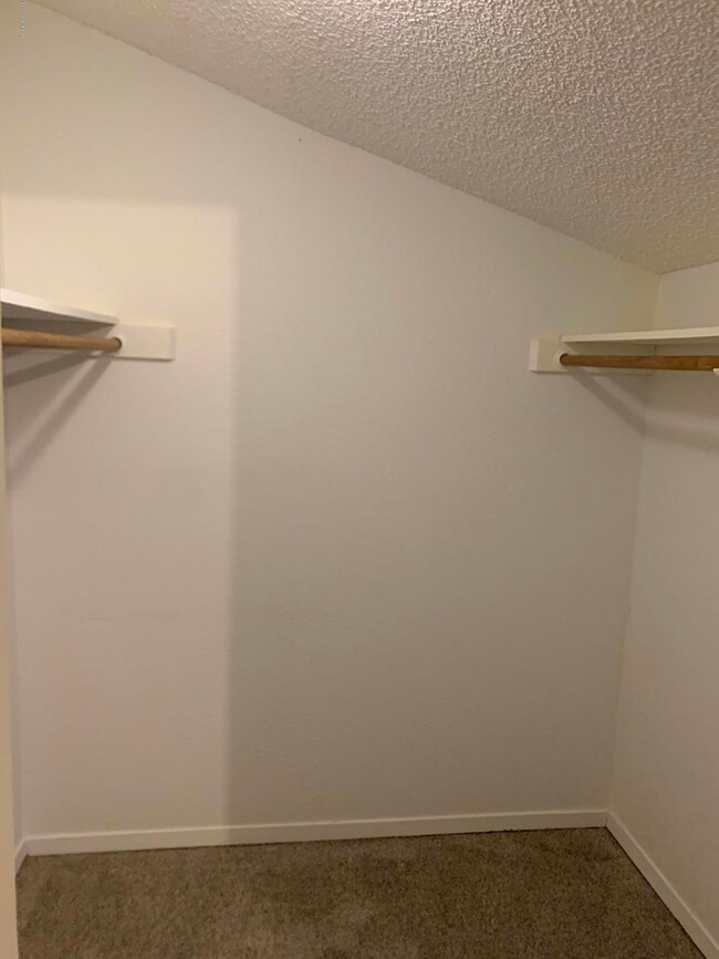master walk-in closet