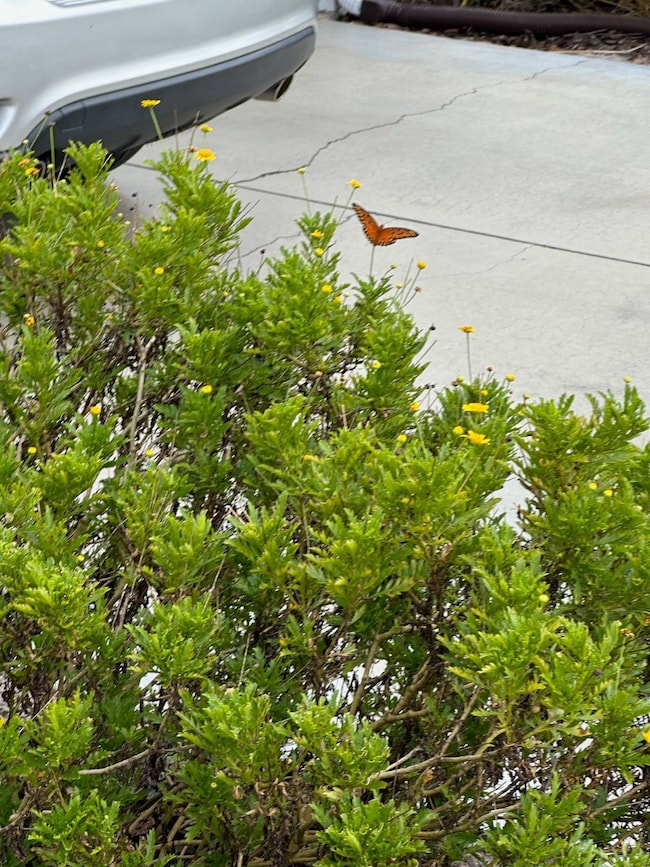 4143 Bald Cypress Dr, Deland, FL 32724 - photo 4