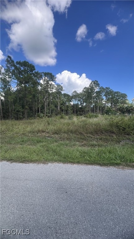 1206 Mcarthur Ave, Lehigh Acres, FL 33972 - photo 3