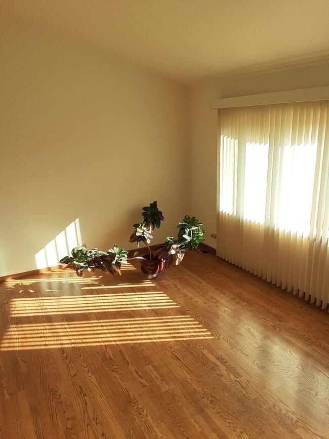 2810 W Cornelia Ave, Waukegan, IL 60085 - photo 2