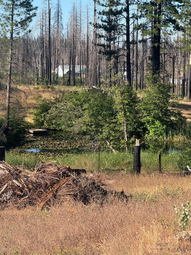 4491 String Canyon Rd, Grizzly Flats, CA 95636 - photo 3