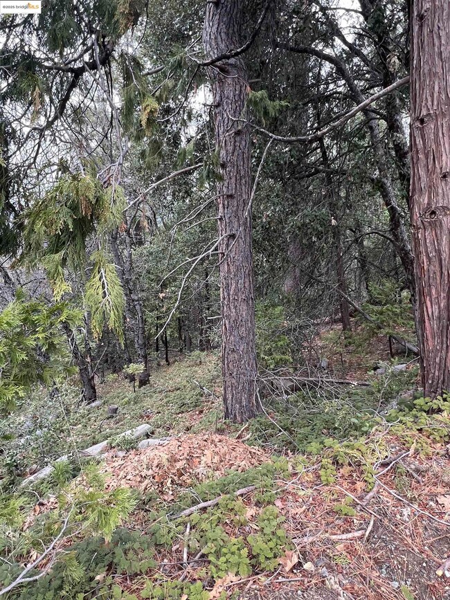 19262 Tanglewood Trail, Twain Harte, CA 95383 - photo 7