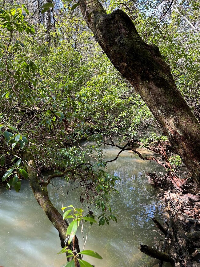 Tract 15 Thomas Springs Rd, Crossville, TN 38572 - photo 3