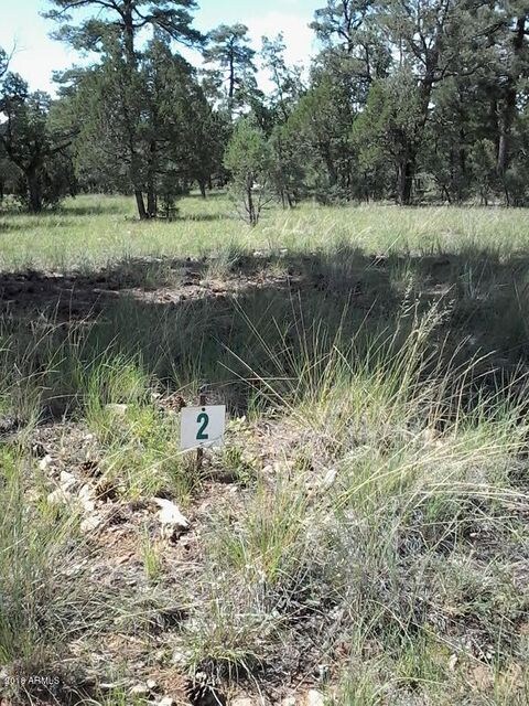 DURANGO 3352 SOUTHEAST CORNER VIEW PIC 1
