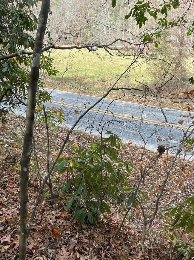 0 Mountain Laurel Rd, Robbinsville (Graham), NC 28771 - photo 2