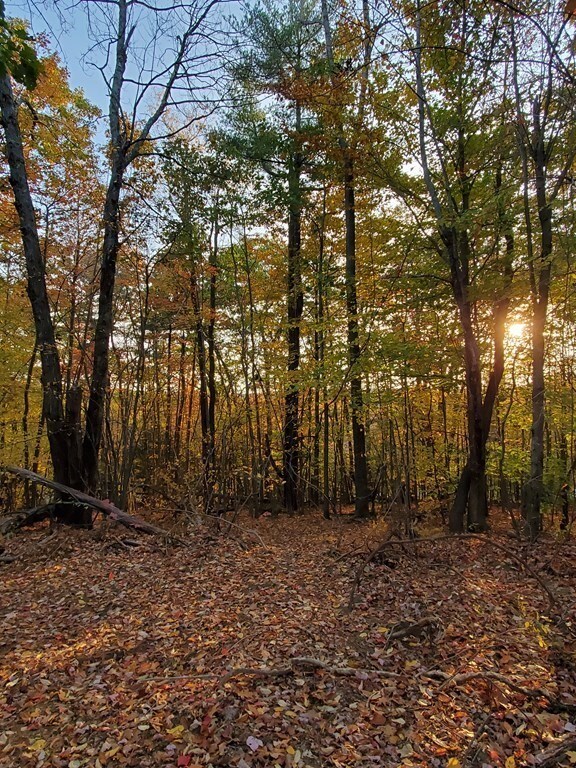 0 E County Rd unit 72845808, Rutland, MA 01543 - photo 2