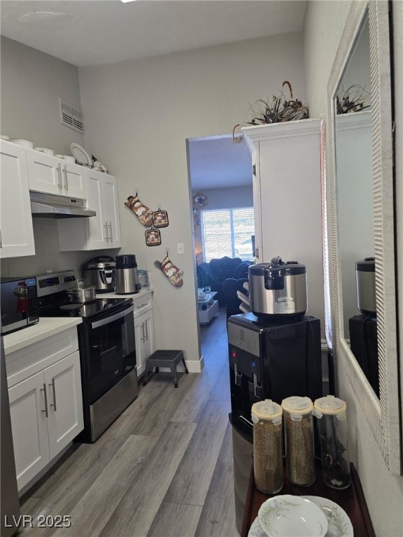 Kitchen with stainless steel electric stove, under