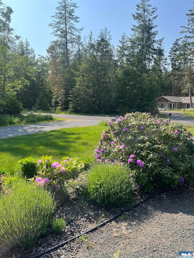 452 Manzanita Dr, Sequim, WA 98382 - photo 5
