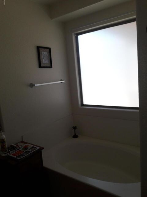 Master bath tub