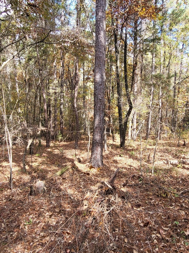 0 Bullocks Ferry Rd unit 21222623, Alpine, AL 35014 - photo 3