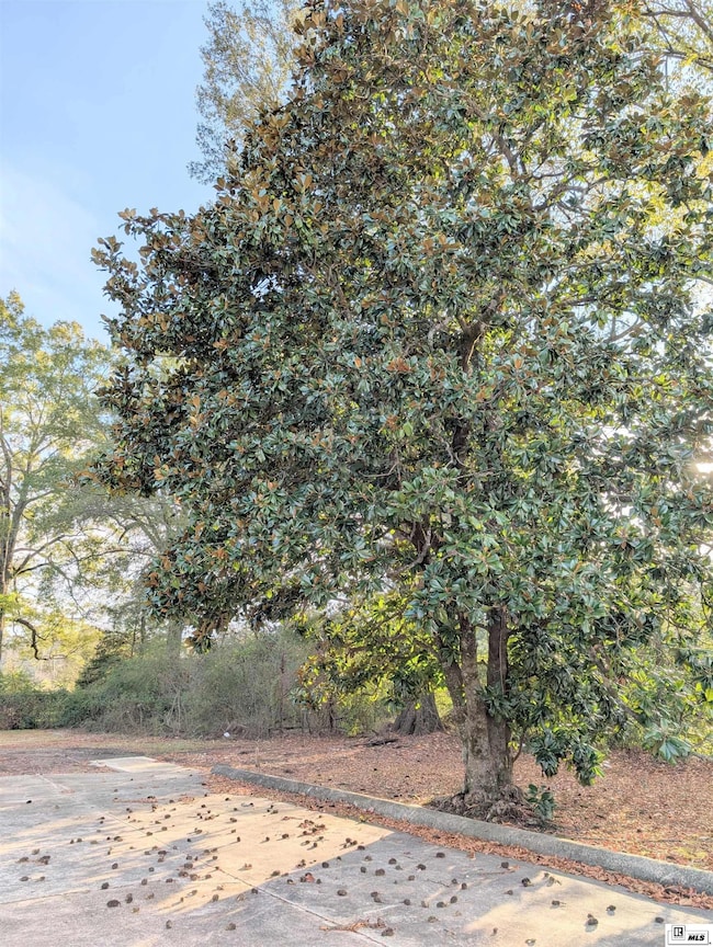 644 E Jefferson Ave, Bastrop, LA 71220 - photo 3
