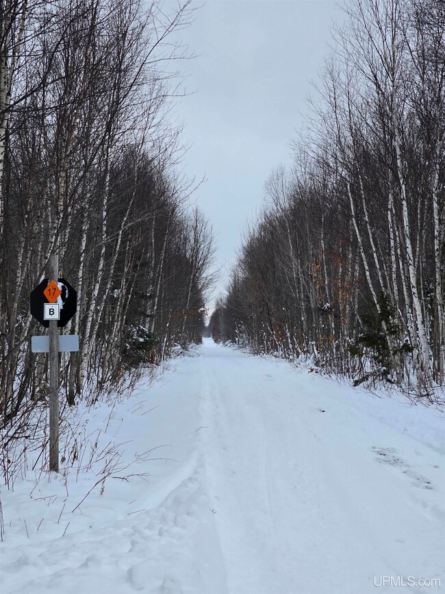 TBD Electric Park Rd, Calumet, MI 49913 - photo 6