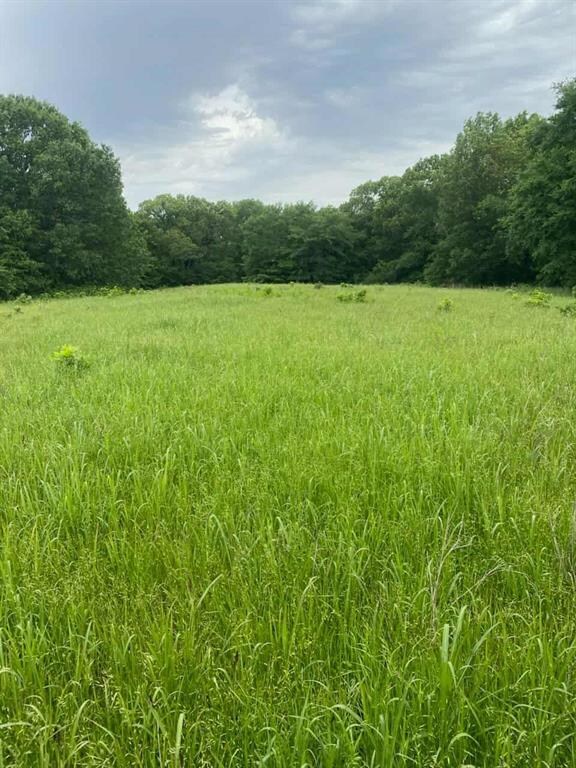 food plot for wildlife
