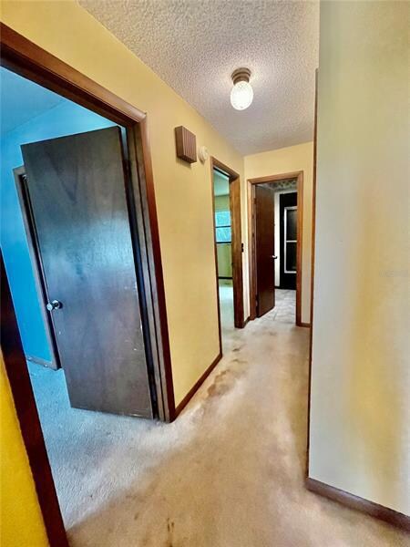 Hallway from foyer leading to guest bedrooms