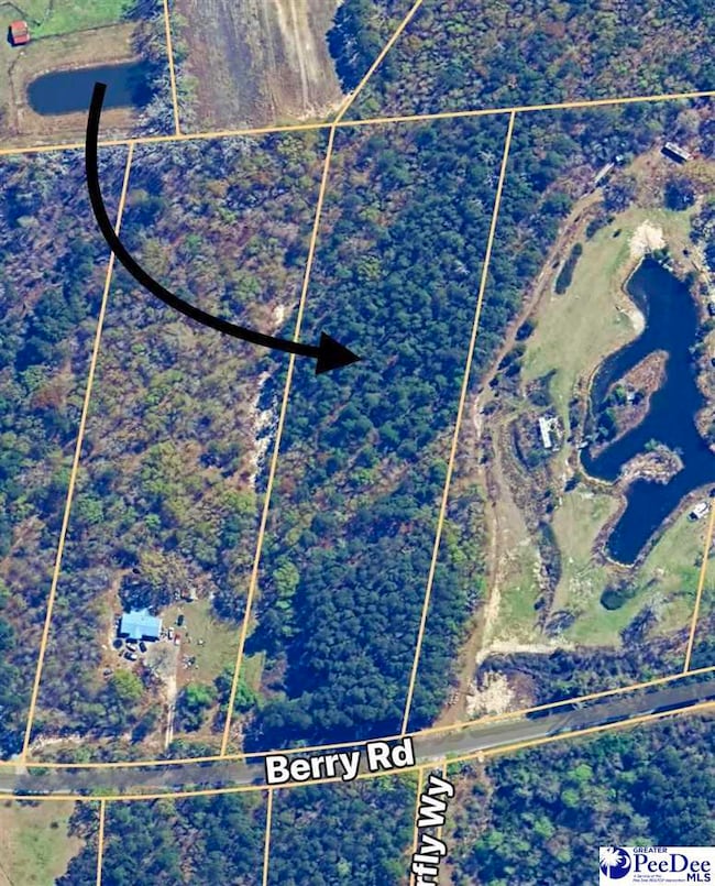 Lot 37 Berry Rd, Latta, SC 29565 - photo 4