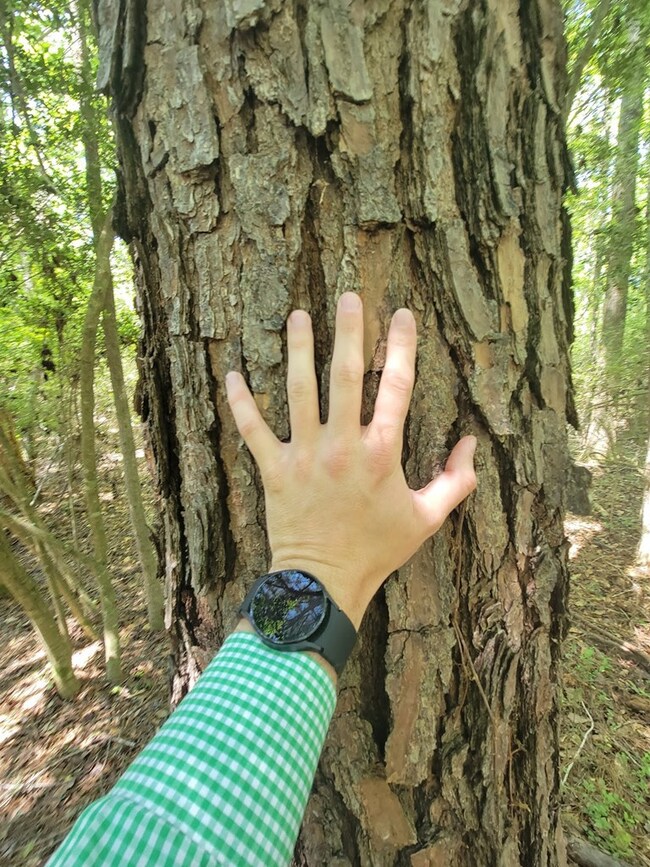 0 S Hwy 27 unit 27320, Geneva, AL 36340 - photo 3