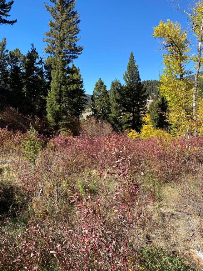 Tbd Tbd, Basin, MT 59631 - photo 6