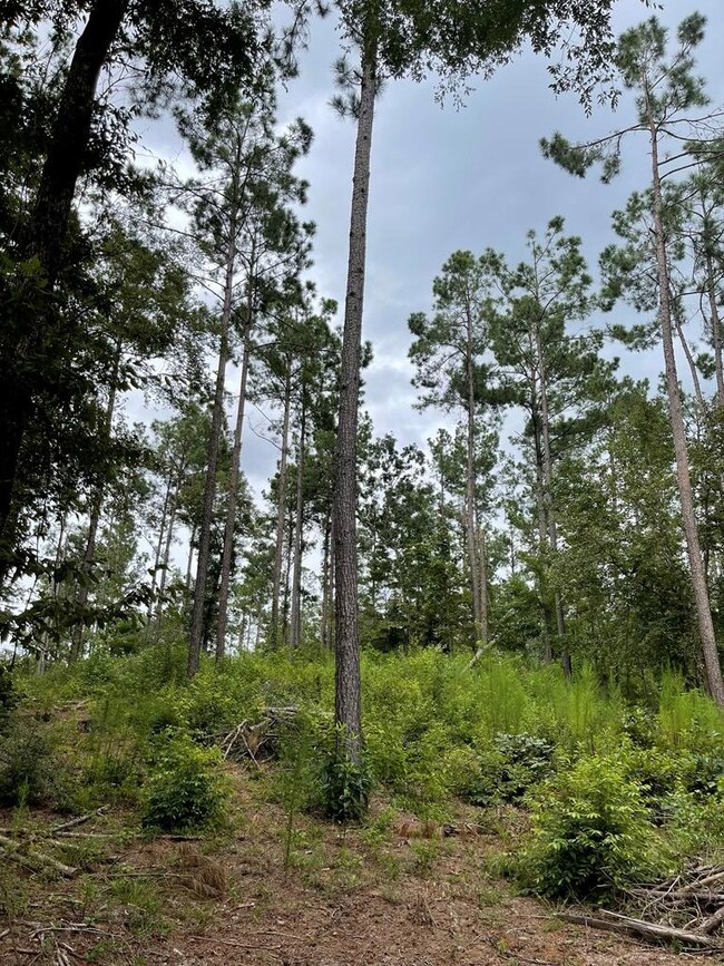 2235 Cr 620, Nacogdoches, TX 75964 - photo 6