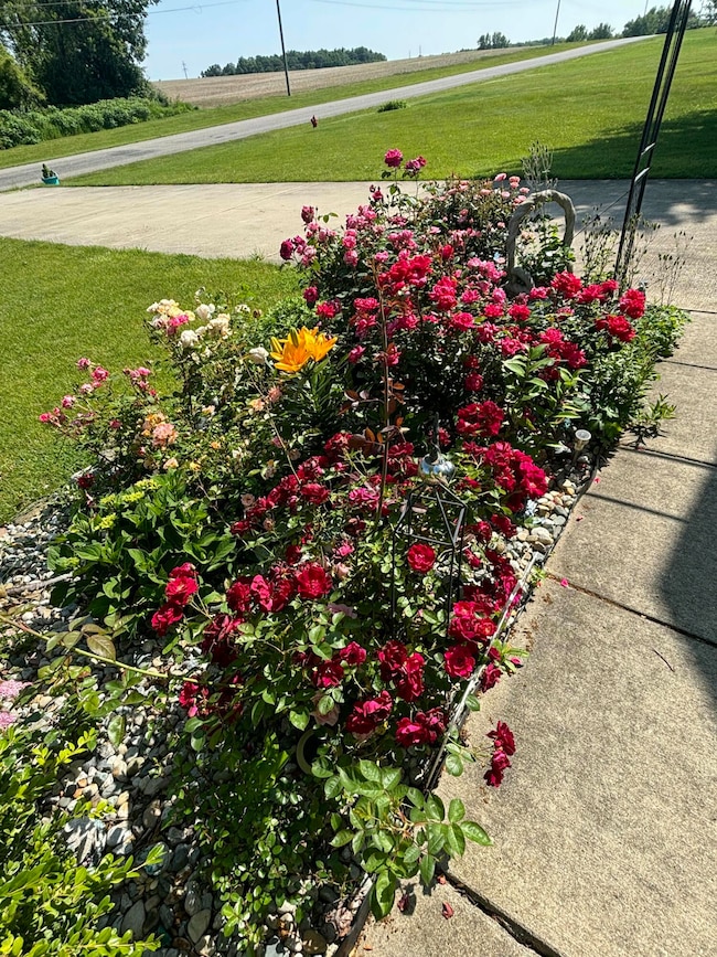 3581 Kehoe Rd, Clinton, MI 49236 - photo 4