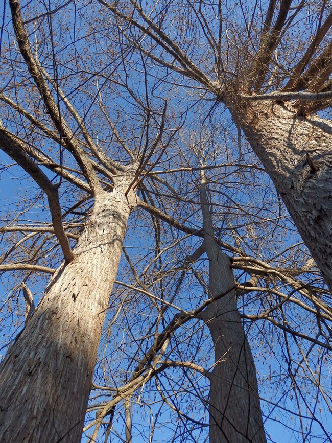 41 Basse Ln unit 1, Fredericksburg, TX 78624 - photo 5